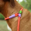ZEE. DOG Slip'n'Lock Retriever Póráz - Everest