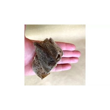 Cápa falatok kiváló fogtisztító 100g, Jókutya 