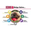 KONG CLASSIC HARANG PIROS