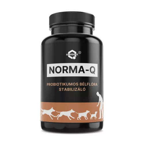 Norma-Q probiotikumos bélflóra stabilizáló 50g, Quebeck