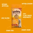 SOOPA Dental Sticks - Pumpkin Spiced Latte 100g