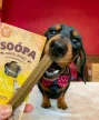 SOOPA Dental Sticks - banánnal és mogyoróvajjal 100g