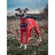 Doog Stick, a biztonságos bot - Elwood