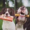 SOOPA Dental Sticks - répával és sütőtökkel 100g