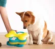 Nina Ottosson Dog Tornado logikai játék (2. szint)