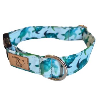   Csatos nyakörv - Teknős vízlepergető nyakörv "M", FluffyDog