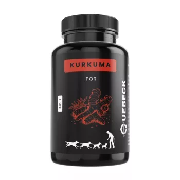 Kurkuma por 100g, Quebeck