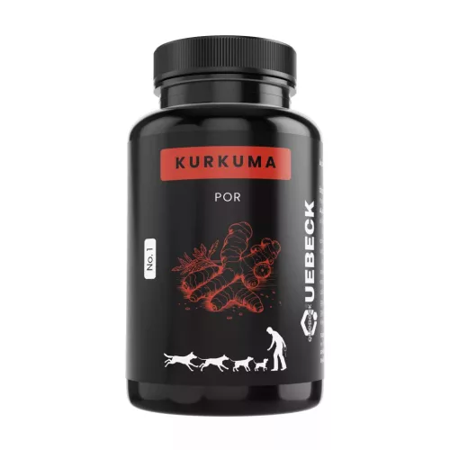 Kurkuma por 100g, Quebeck