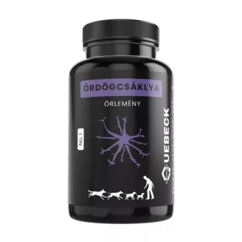 Ördögcsáklya por 100g, Quebeck