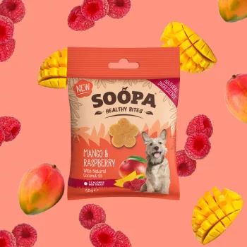SOOPA Healthy Bites - Mangó és málna jutalomfalat 50g