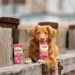 SOOPA Healthy Bites - DOG-QUIRI Eper és menta jutalomfalat 50g