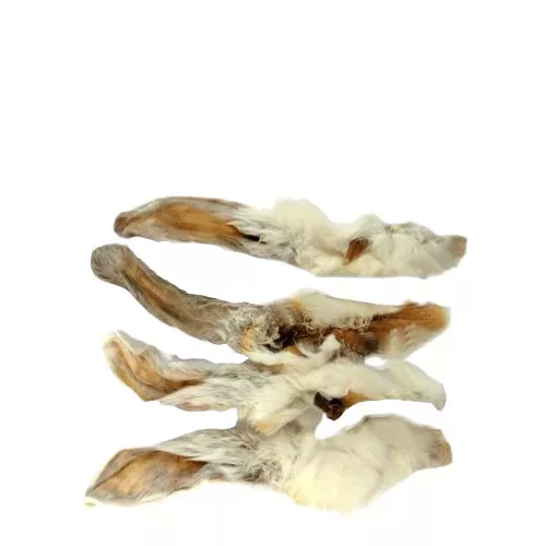 Szárított Szőrös Nyúlfül 1kg, Jókutya