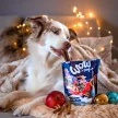 WOW DOG – Winter Dentals - Almás rétes ízű fogtisztító 250g