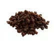 WOOLF WildDog Bites – Puha fürjhúsos falatok 100g