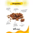 Whizzopet Bio Propoliszos ámorakác méz kutyáknak 250g