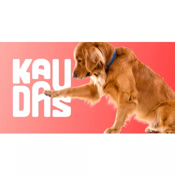 Kaudas