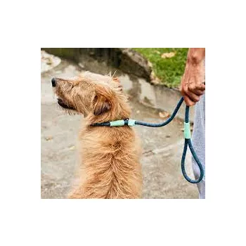ZEE.DOG Retriever Póráz